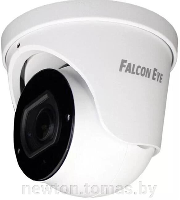 IP-камера Falcon Eye FE-IPC-DV5-40pa от компании Интернет-магазин Newton - фото 1
