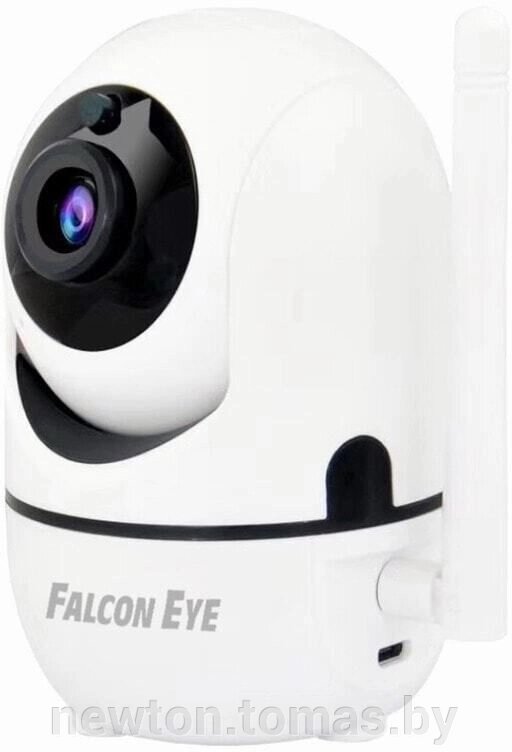 IP-камера Falcon Eye MinOn от компании Интернет-магазин Newton - фото 1