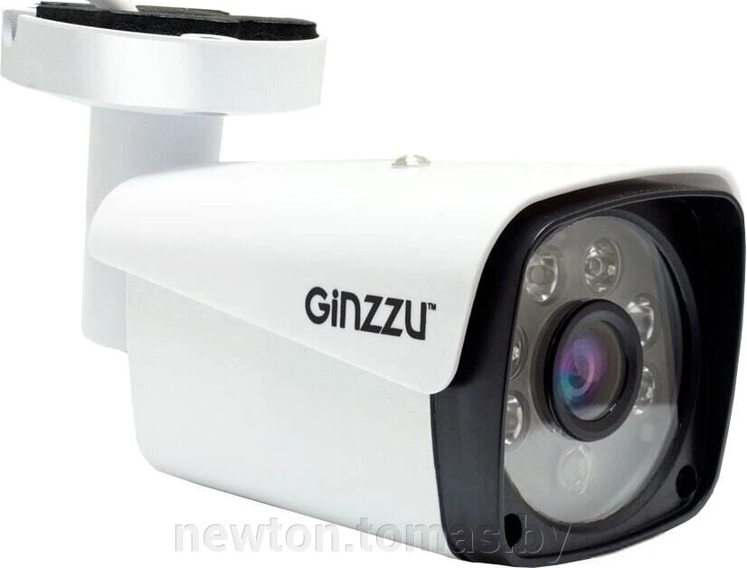 IP-камера Ginzzu HIB-2301A от компании Интернет-магазин Newton - фото 1