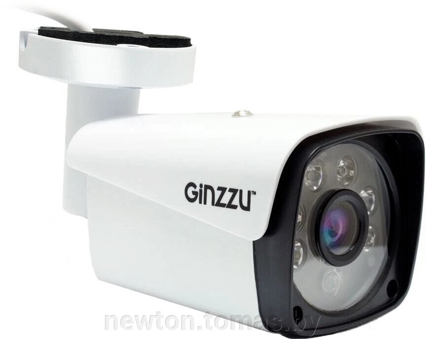 IP-камера Ginzzu HIB-2301S от компании Интернет-магазин Newton - фото 1