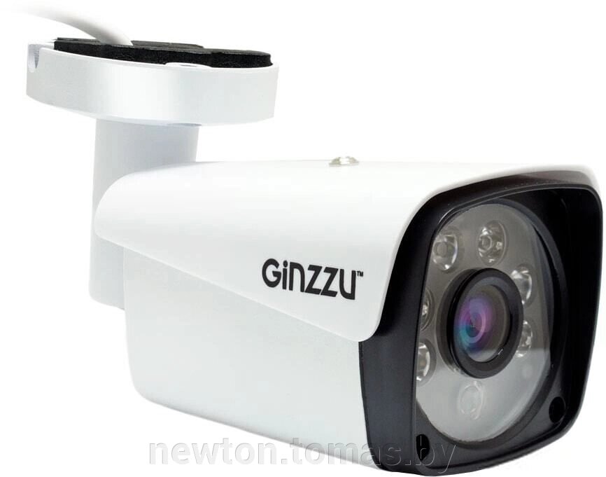 IP-камера Ginzzu HIB-5301A от компании Интернет-магазин Newton - фото 1