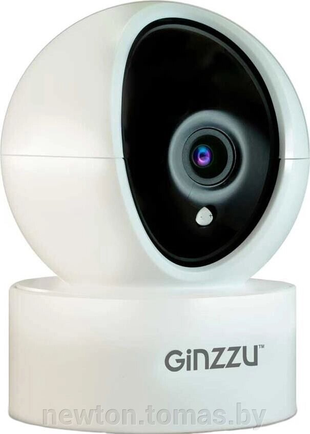 IP-камера Ginzzu HWD-2301A от компании Интернет-магазин Newton - фото 1