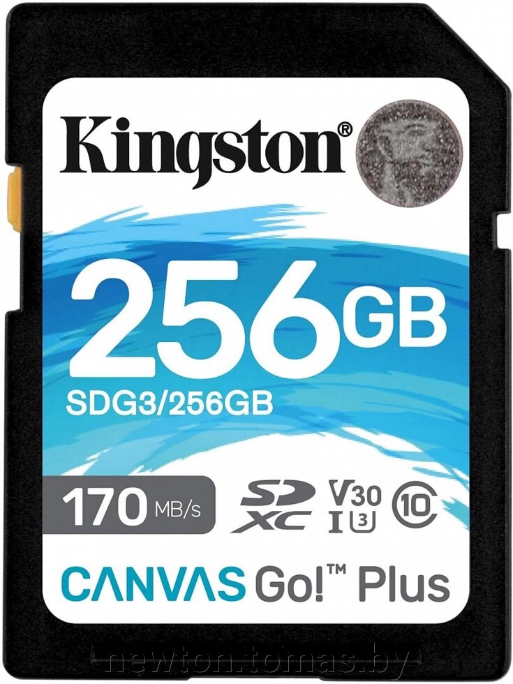 Карта памяти Kingston Canvas Go! Plus SDXC 256GB от компании Интернет-магазин Newton - фото 1