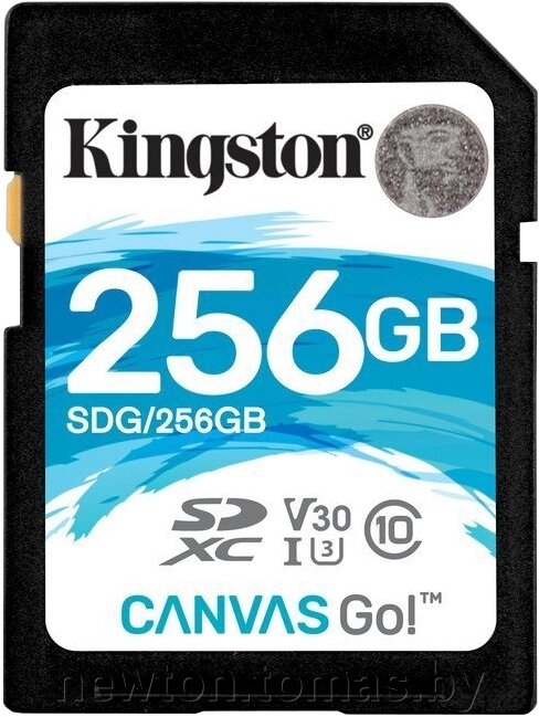 Карта памяти Kingston Canvas Go! SDG/256GB SDXC 256GB от компании Интернет-магазин Newton - фото 1