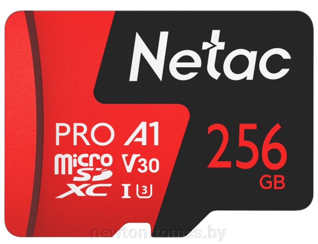Карта памяти Netac 256GB 500 Extreme Pro NT02P500PRO-256G-R с адаптером от компании Интернет-магазин Newton - фото 1