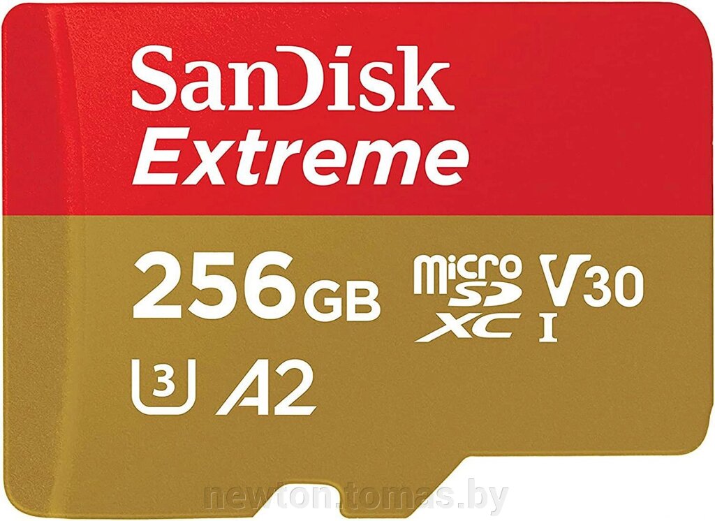 Карта памяти SanDisk Extreme microSDXC SDSQXAV-256G-GN6MN 256GB от компании Интернет-магазин Newton - фото 1