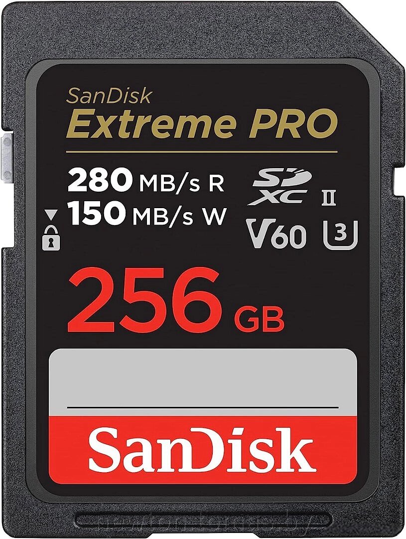 Карта памяти SanDisk Extreme PRO SDXC SDSDXEP-256G-GN4IN 256GB от компании Интернет-магазин Newton - фото 1