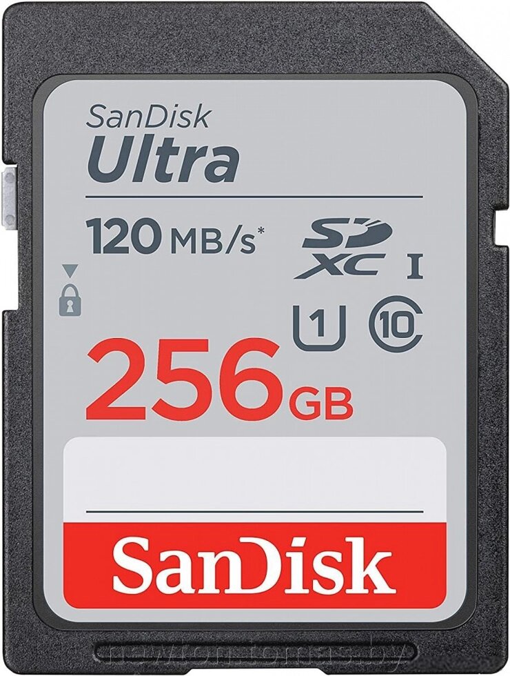 Карта памяти SanDisk Ultra SDXC SDSDUN4-256G-GN6IN 256GB от компании Интернет-магазин Newton - фото 1