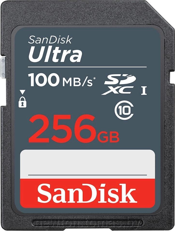 Карта памяти SanDisk Ultra SDXC SDSDUNR-256G-GN3IN 256GB от компании Интернет-магазин Newton - фото 1