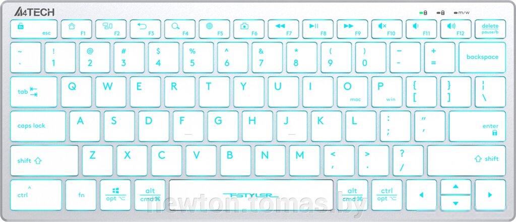 Клавиатура A4Tech Fstyler FX61 серебристый/белый от компании Интернет-магазин Newton - фото 1