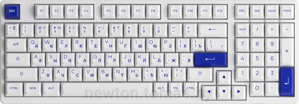 Клавиатура Akko 3098N Blue & White TTC Honey от компании Интернет-магазин Newton - фото 1