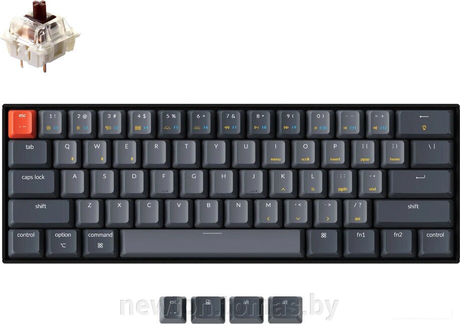 Клавиатура Keychron K12 RGB K12-B3-RU Gateron G Pro Brown от компании Интернет-магазин Newton - фото 1