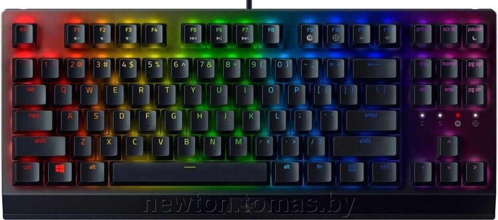 Клавиатура Razer BlackWidow V3 Tenkeyless Green Switch от компании Интернет-магазин Newton - фото 1