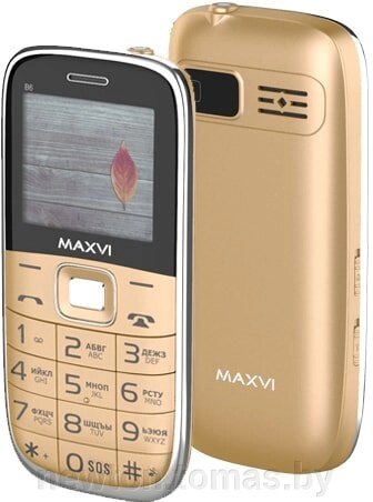 Кнопочный телефон Maxvi B6 золотистый от компании Интернет-магазин Newton - фото 1