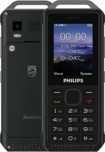 Кнопочный телефон Philips Xenium E2317 темно-серый