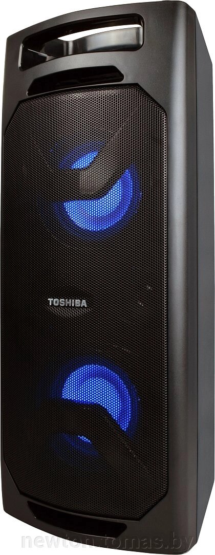 Колонка для вечеринок Toshiba TY-ASC51 от компании Интернет-магазин Newton - фото 1