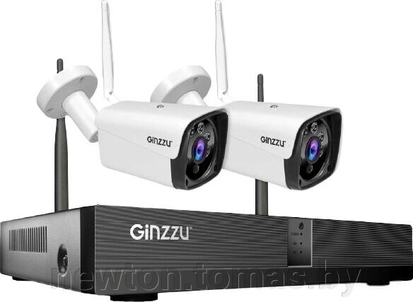 Комплект видеонаблюдения Ginzzu HK-4202W от компании Интернет-магазин Newton - фото 1