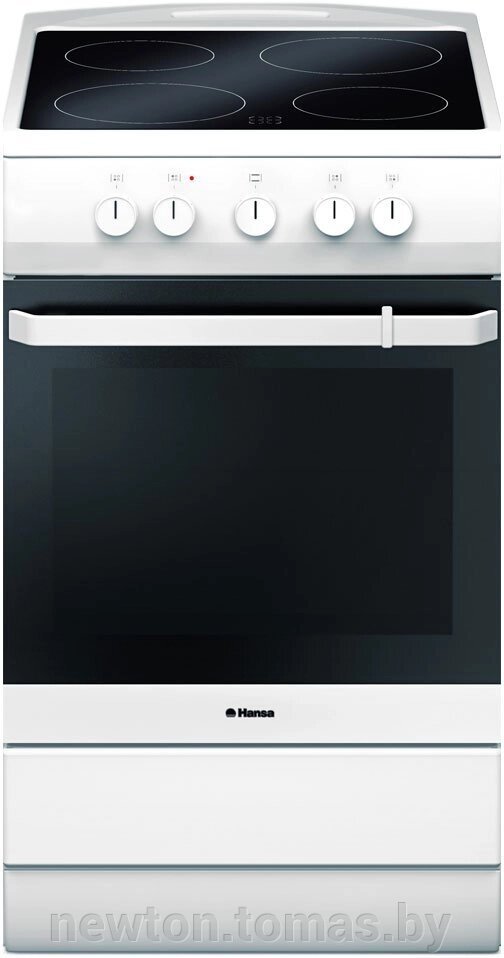 Кухонная плита  Hansa FCCW54000 от компании Интернет-магазин Newton - фото 1