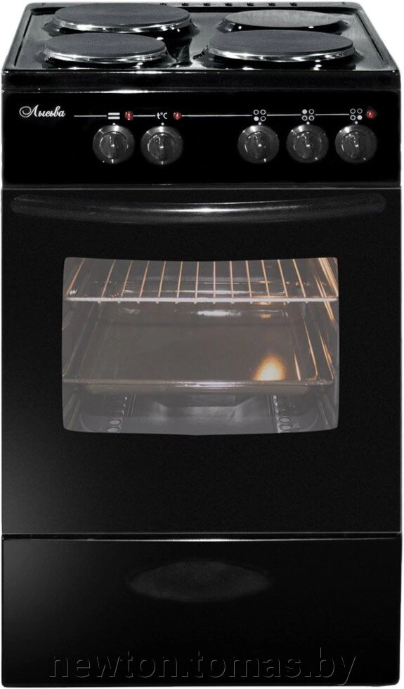 Кухонная плита  Лысьва ЭП 301 черный от компании Интернет-магазин Newton - фото 1