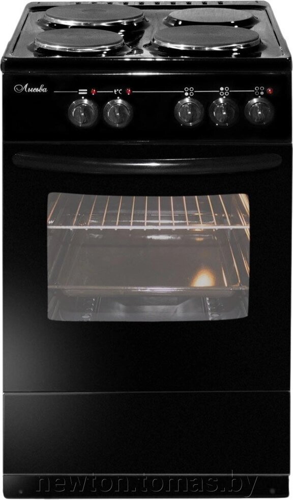 Кухонная плита Лысьва ЭП 301 М2С черный от компании Интернет-магазин Newton - фото 1