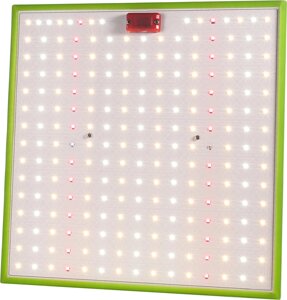 Лампа для растений эра FITO-80W-LED-QB