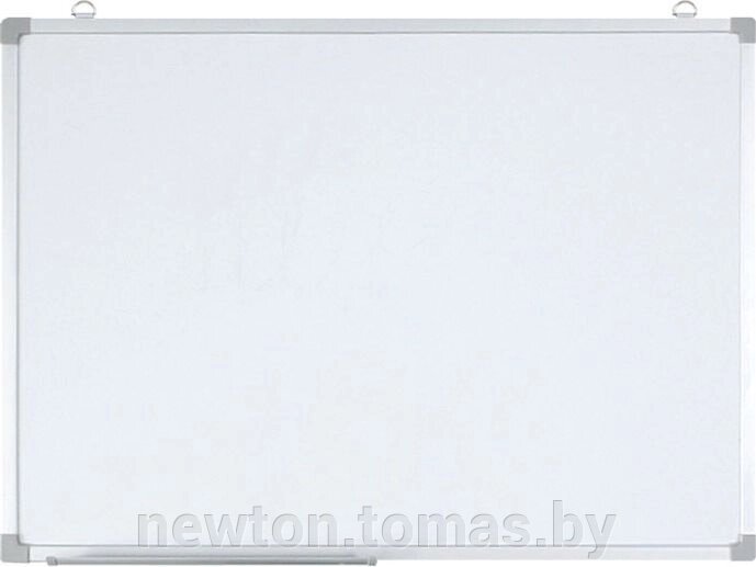 Магнитно-маркерная доска Darvish DV-1054 от компании Интернет-магазин Newton - фото 1