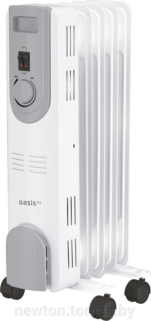 Масляный радиатор Oasis OS-10 от компании Интернет-магазин Newton - фото 1