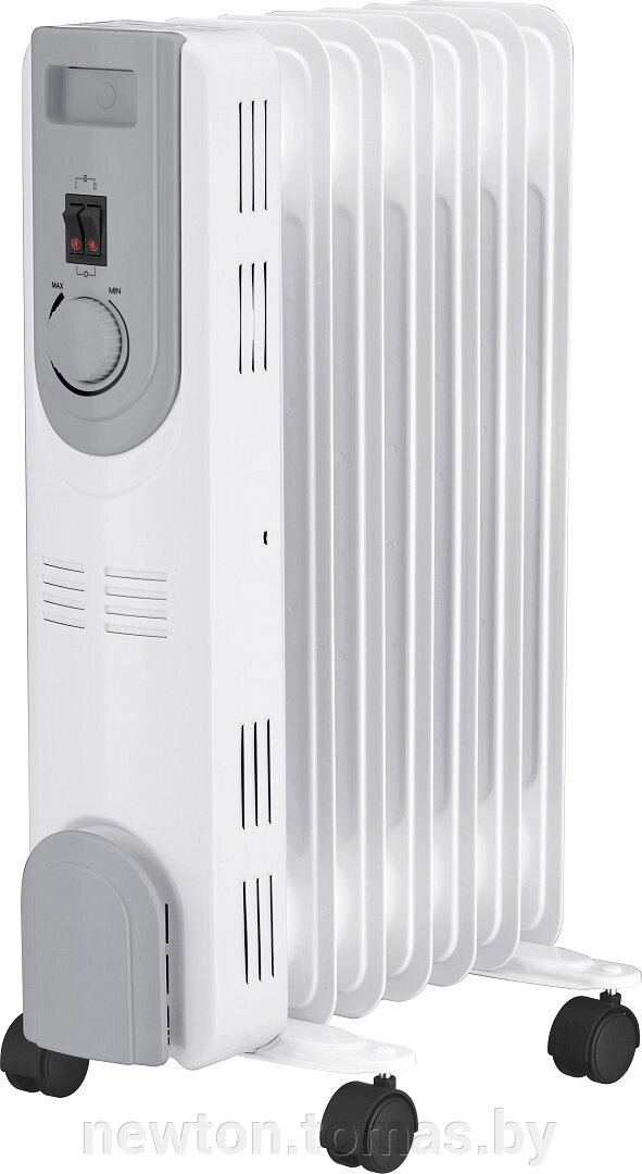 Масляный радиатор Oasis OS-15 от компании Интернет-магазин Newton - фото 1