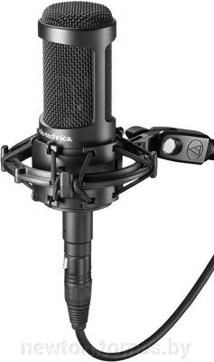 Микрофон Audio-Technica AT2050 от компании Интернет-магазин Newton - фото 1