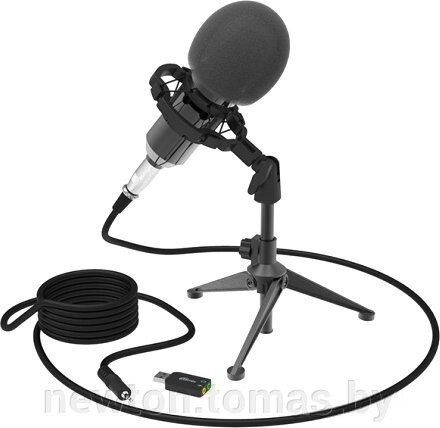 Микрофон Ritmix RDM-160 от компании Интернет-магазин Newton - фото 1