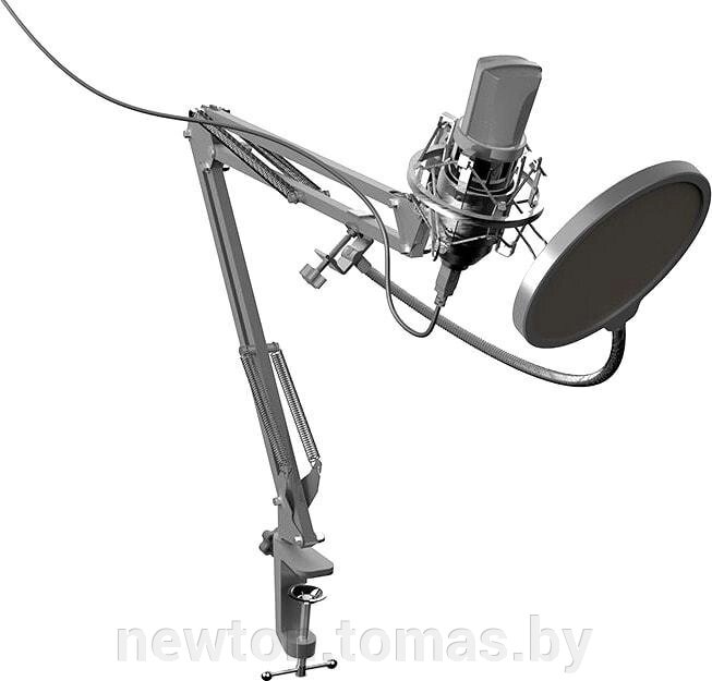 Микрофон Ritmix RDM-169 от компании Интернет-магазин Newton - фото 1