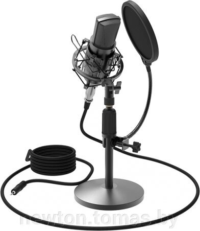 Микрофон Ritmix RDM-175 от компании Интернет-магазин Newton - фото 1