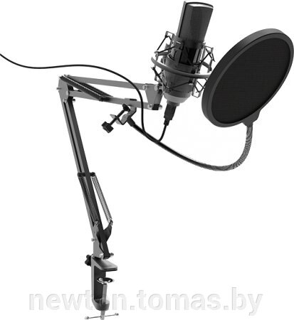 Микрофон Ritmix RDM-180 от компании Интернет-магазин Newton - фото 1