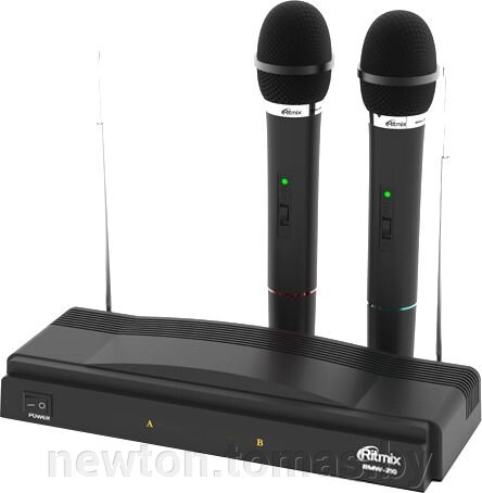 Микрофон Ritmix RWM-210 от компании Интернет-магазин Newton - фото 1