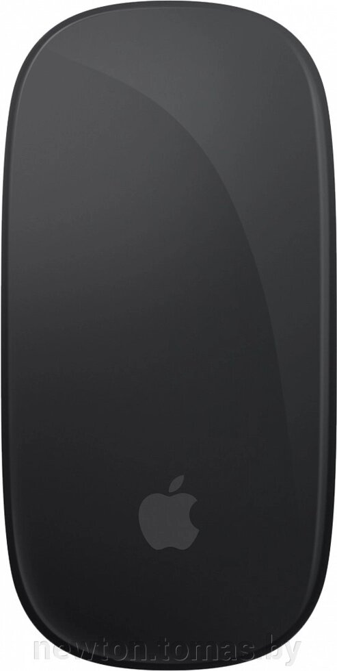 Мышь Apple Magic Mouse 3 черный от компании Интернет-магазин Newton - фото 1