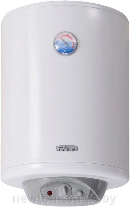 Накопительный электрический водонагреватель De luxe 3W60VH1 от компании Интернет-магазин Newton - фото 1