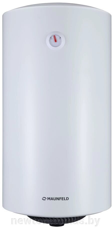 Накопительный электрический водонагреватель MAUNFELD MWH100W01 от компании Интернет-магазин Newton - фото 1