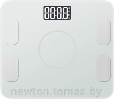 Напольные весы Bradex KZ 0938 от компании Интернет-магазин Newton - фото 1