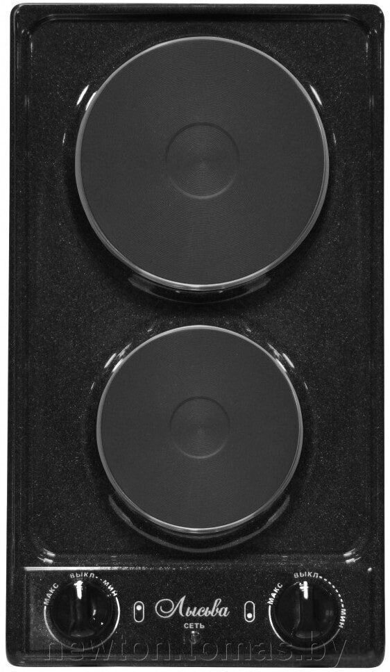 Настольная плита Лысьва ЭПБ 22 рябчик черный от компании Интернет-магазин Newton - фото 1