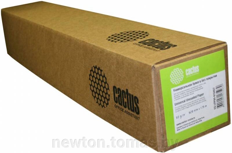 Офисная бумага CACTUS для струйной печати, A0 80 г/м2 [CS-LFP80-914457] от компании Интернет-магазин Newton - фото 1