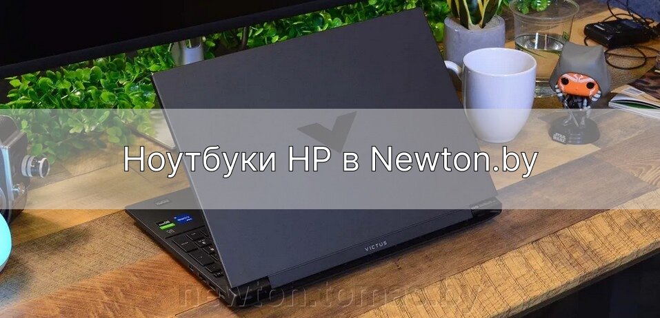 Специальная цена на игровой ноутбук HP Victus 15-fb2063dx 9Z7L4UA - фото Ноутбуки HP в Newton.by