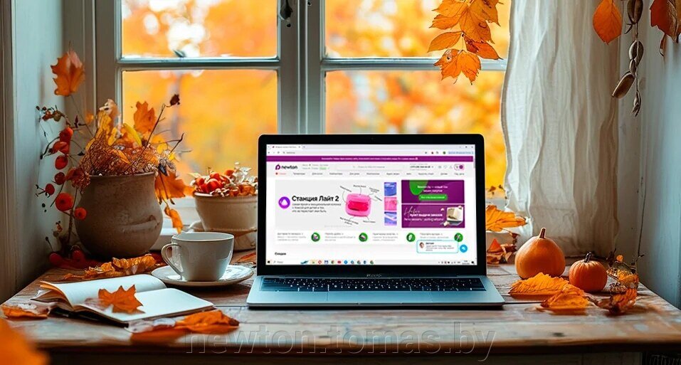 Осень с Newton.by: скидки до 20% на товары в корзине по промокоду - фото pic_399aea5e724729ec599528db5c015d08_1920x9000_1.jpg