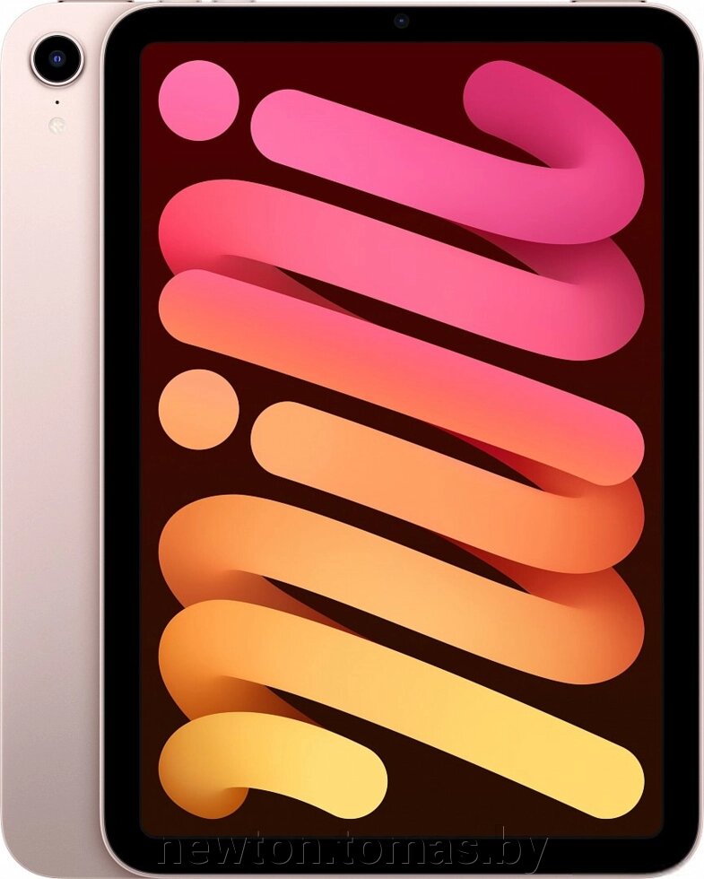 Планшет Apple iPad mini 2021 256GB MLWR3 розовый от компании Интернет-магазин Newton - фото 1