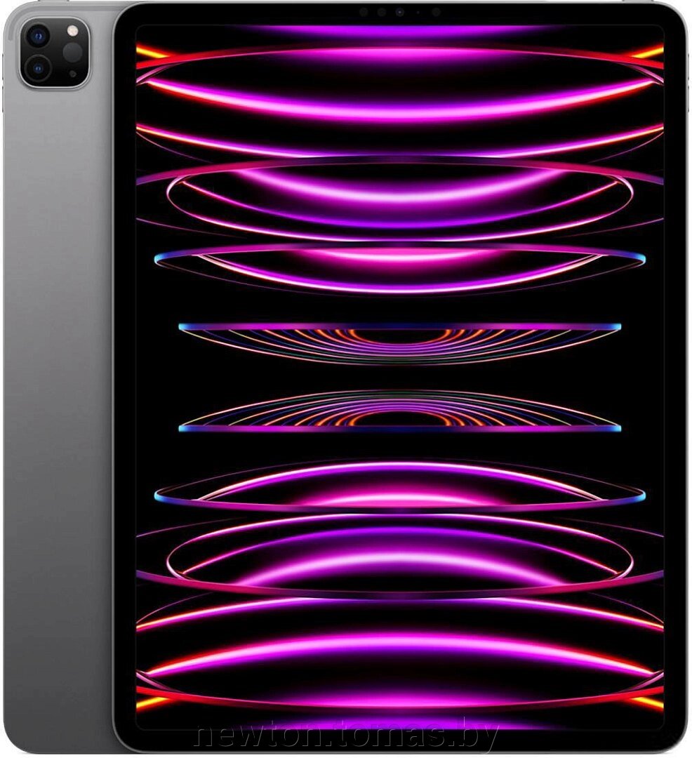 Планшет Apple iPad Pro 12.9 2022 256GB MNXR3 серый космос от компании Интернет-магазин Newton - фото 1