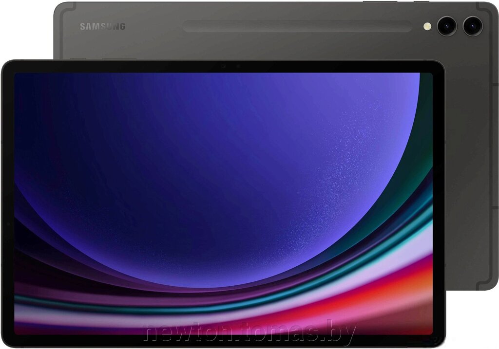 Планшет Samsung Galaxy Tab S9+ 5G SM-X816 12GB/256GB графитовый от компании Интернет-магазин Newton - фото 1