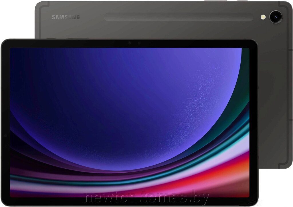 Планшет Samsung Galaxy Tab S9 Wi-Fi SM-X710 12GB/256GB графитовый от компании Интернет-магазин Newton - фото 1