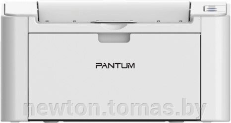 Принтер  Pantum P2200 от компании Интернет-магазин Newton - фото 1
