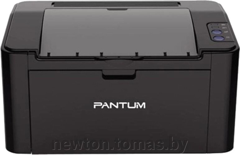 Принтер Pantum P2507 от компании Интернет-магазин Newton - фото 1