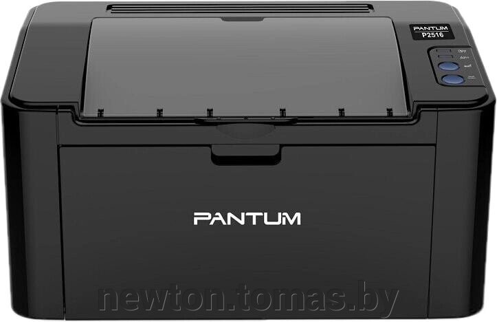 Принтер Pantum P2516 от компании Интернет-магазин Newton - фото 1