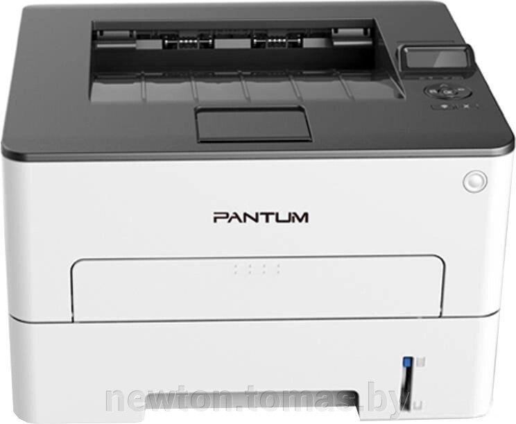 Принтер Pantum P3010DW от компании Интернет-магазин Newton - фото 1